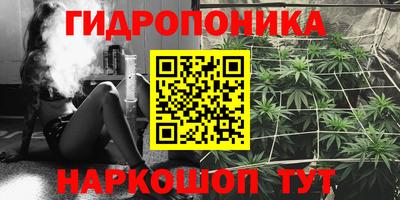 крисы Шебекино