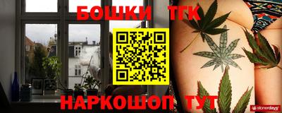 крисы Шебекино