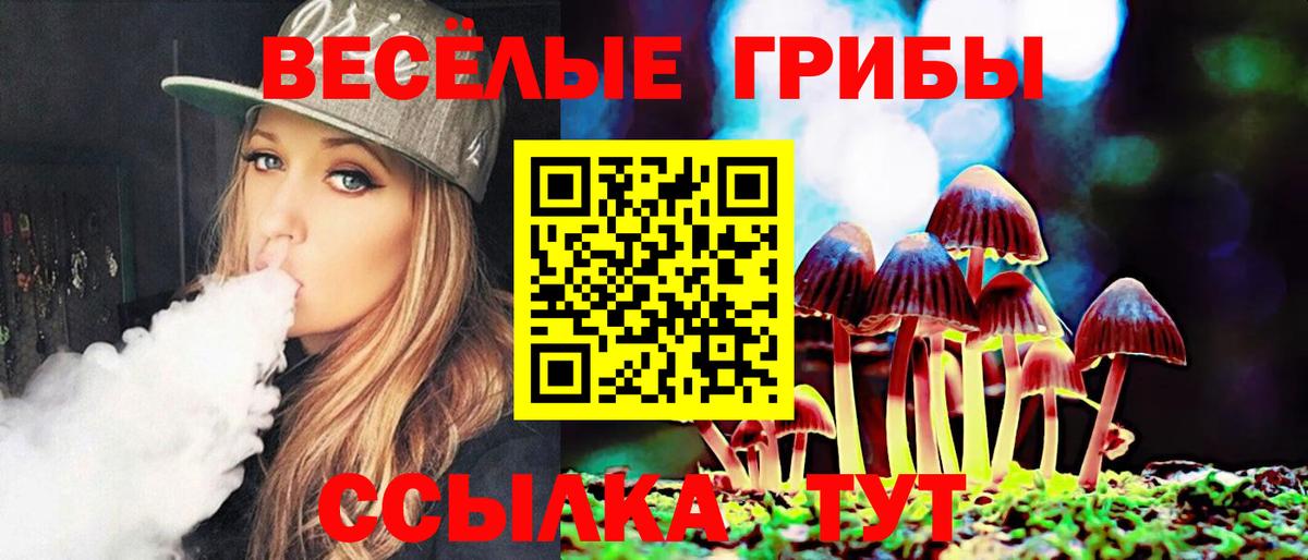 Бор  Псилоцибиновые грибы MAGIC MUSHROOMS  Вход с VPN 